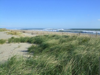 Nantucket Conservation Foundation   Manual   Sheep Pond jl 335x251