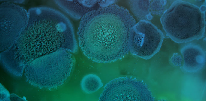 Beautiful abstract photography of mold in a pan