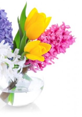 tulips