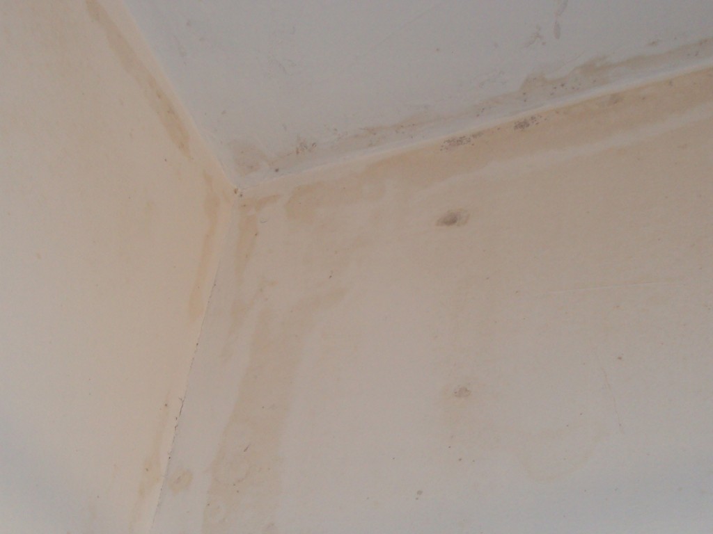 DSC03926 (2) mold bathroom