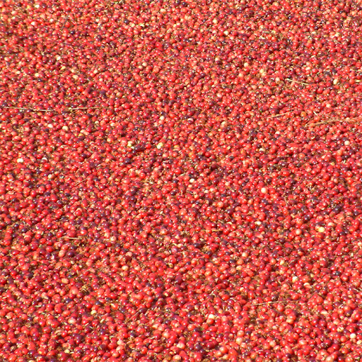cranberries only
