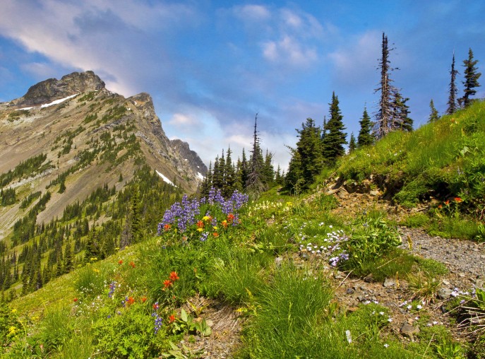 retire powder mountain