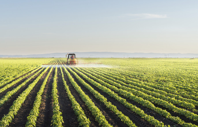 Tractor spraying soybean field at spring